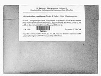 Image Associated With the Occurence